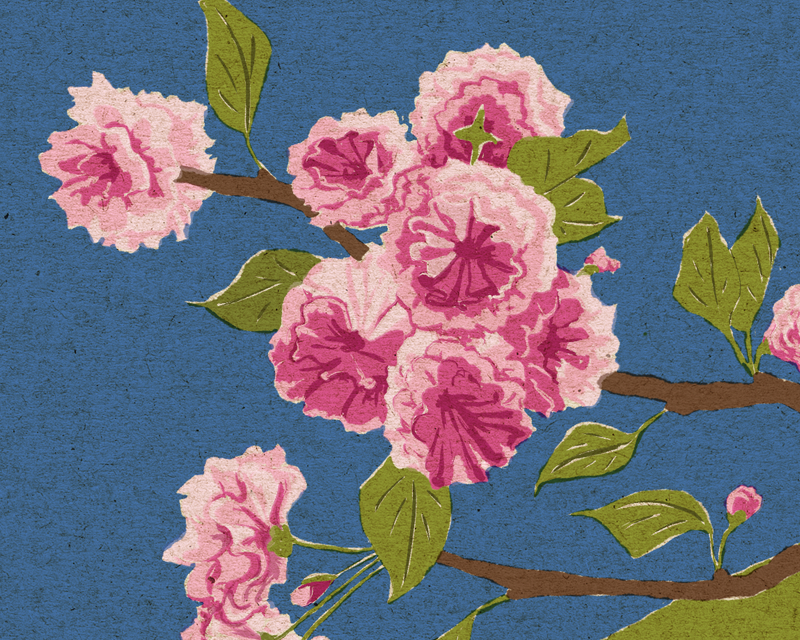 detail of blossoms